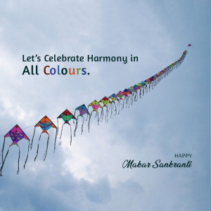 Makar Sankranti Wisehs Images, Poster and Status Free Download 115 16417920356034 Daily 6 Alpa Makar Sankranti 100122 square square Makar Sankranti